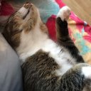 Ксения Пономарёва