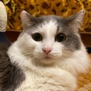 Никита Никита