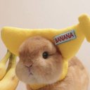 Валерия Кролик