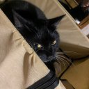 Аня Сафронова