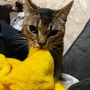 Варвара Зайкина