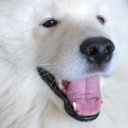 Александра Карпова