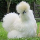 Мария Трошина