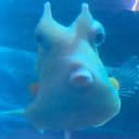 Кирилл Овчинников