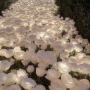 Марьям Шарипова