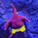 Оксана Винник