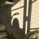 Виктория Варламова