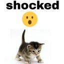 Анастасия Аверьянова