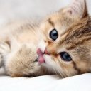 Наталья Орлова