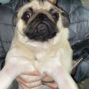 Никита Румпельштинский