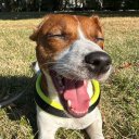 Яркая Личность