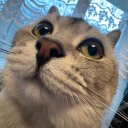 Яркая Личность