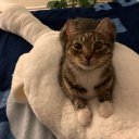 Анги Иванова