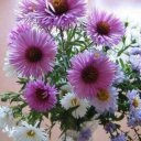 Наталья Карпычева