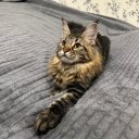 Юлия Савеко