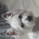 Роман Шилин