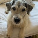 Ванильный Старичок