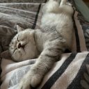 Анастасия Николаева