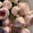 Вера Лукашина