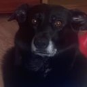 Андрей Сова