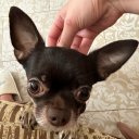 Таня Баженова