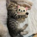 Полина Серпова