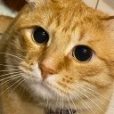 Олеся Шальнева