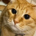 Олеся Шальнева