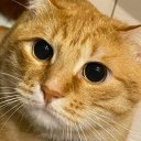 Олеся Шальнева