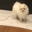 Артем Кабиров