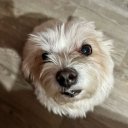 Александр Еремин