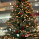 надя романович