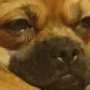 Александр Шаров