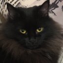 Мария Ходырева