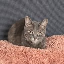 Екатерина К