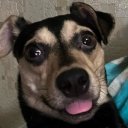 Вика Рудакова