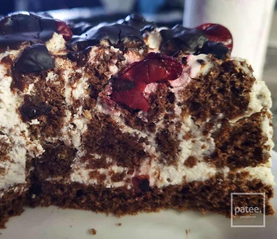 ПП- Панчо - Шаг 4