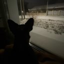 Наталия Демидович