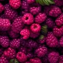 Лина Добровольская