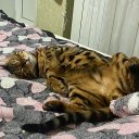 Ксюша Тухар