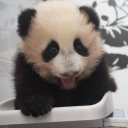 Диана Беляева