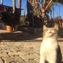 Виктория Кузнецова