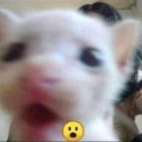 Лина Зайцева