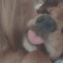 Ариана Некрасова