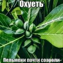 Соломон Гулария