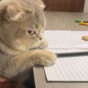 Анастасия Рыжова