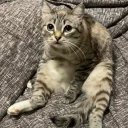 Екатерина Б