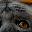 Кристина Дмитриева