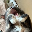 Елизавета Трушечкина