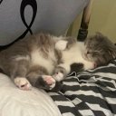 Аврора Аймашева